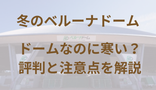 冬のベルーナドームは寒い？アクセスは？実際の評判と注意点まとめ
